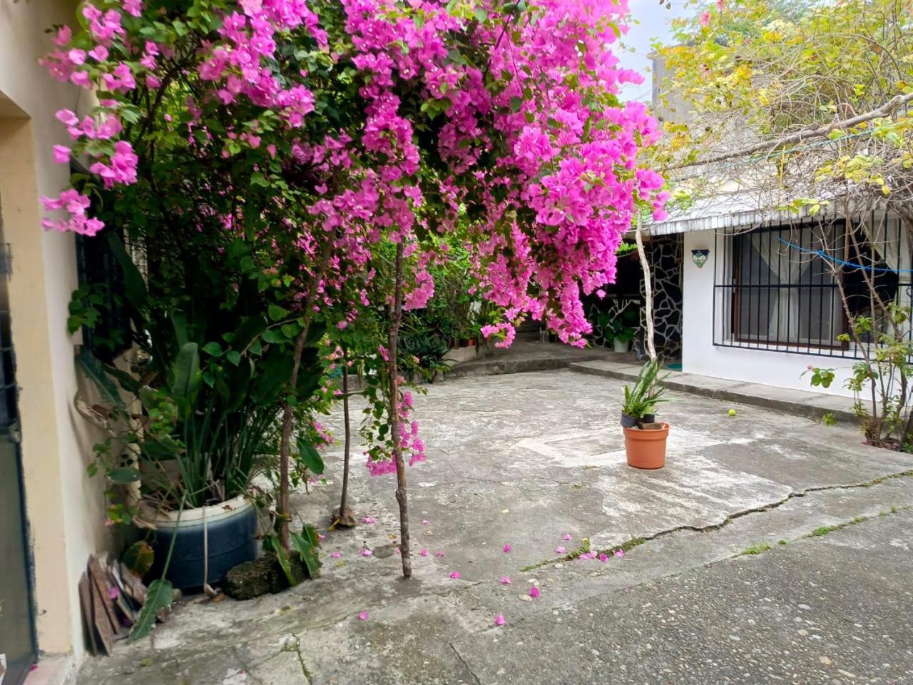 Posada Familiar Papantla Zewnętrze zdjęcie